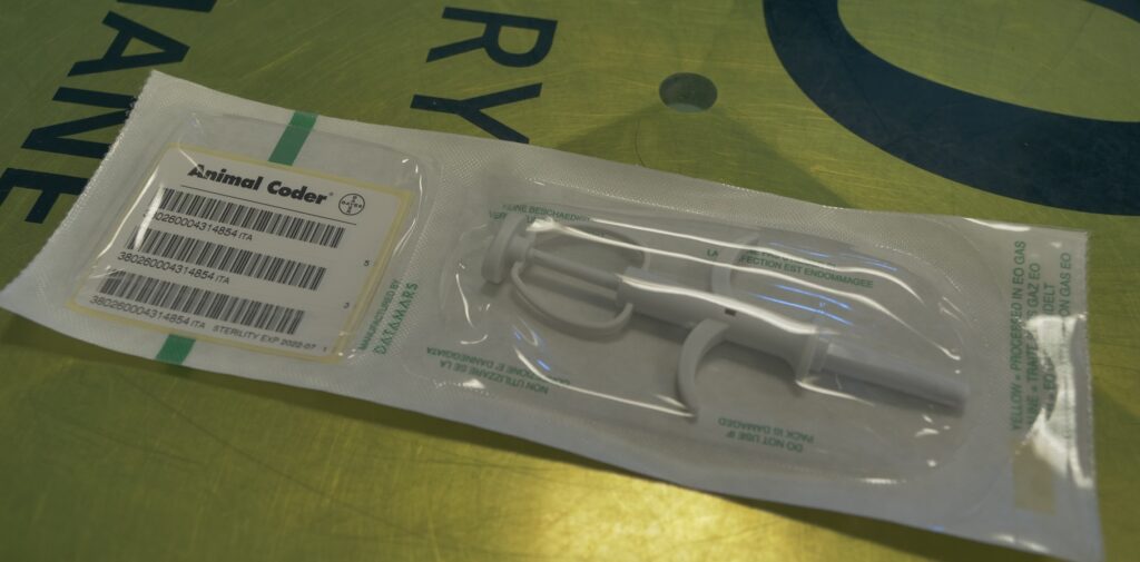 Il microchip anche per i gatti
