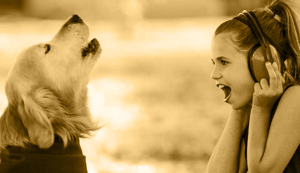 Assolti i proprietari di 4 cani che disturbavano i vicini
