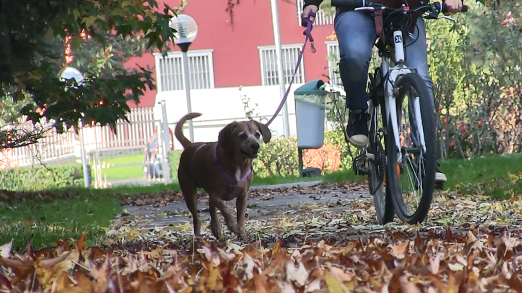 In bicicletta no!