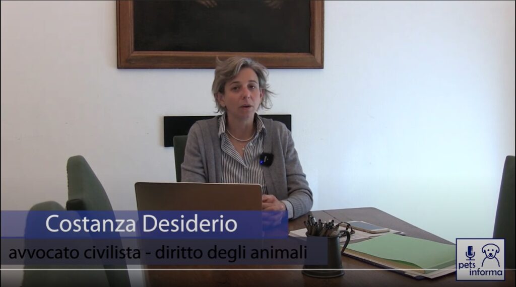 Possiedi un cane “speciale”? Un corso per te – VIDEO
