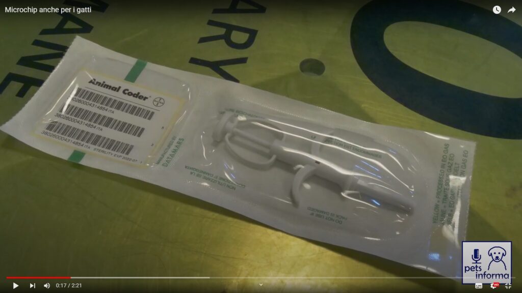 Il microchip anche per i gatti – VIDEO