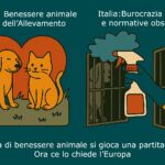 BENESSERE ANIMALE: L’EUROPA GALOPPA MENTRE L’ITALIA RESTA AL PALO
